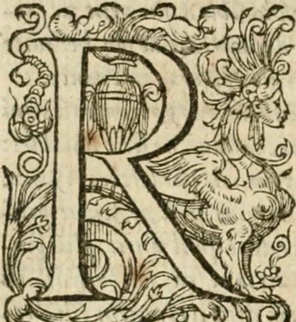 An illustration from Somme rural, ou, Le grand coustumier general de practique civil et canon, 1611, leaf 361
