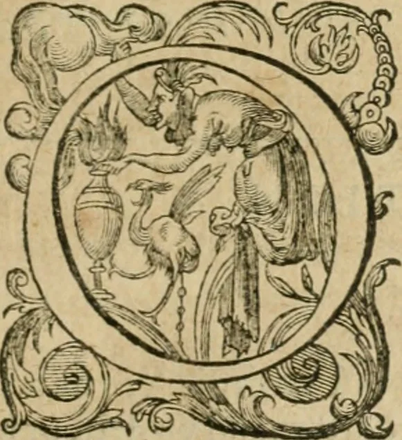 An illustration from Somme rural, ou, Le grand coustumier general de practique civil et canon, 1611, leaf 364