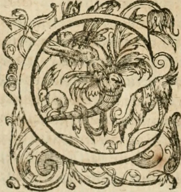 An illustration from Somme rural, ou, Le grand coustumier general de practique civil et canon, 1611, leaf 365