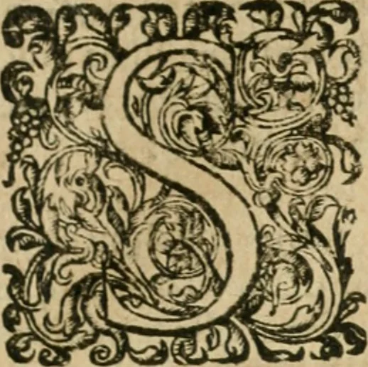 An illustration from Somme rural, ou, Le grand coustumier general de practique civil et canon, 1611, leaf 368