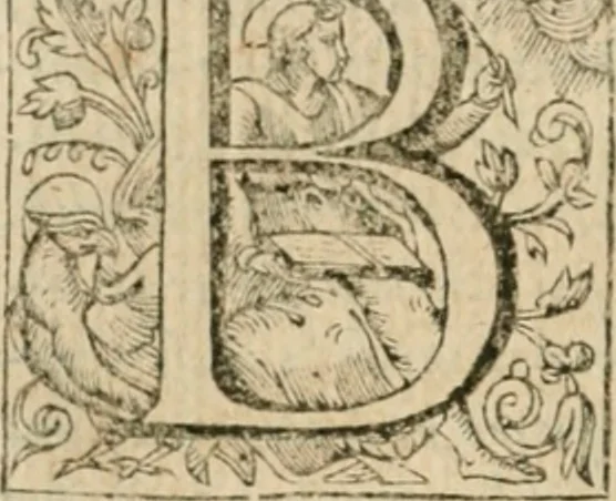 An illustration from Somme rural, ou, Le grand coustumier general de practique civil et canon, 1611, leaf 409