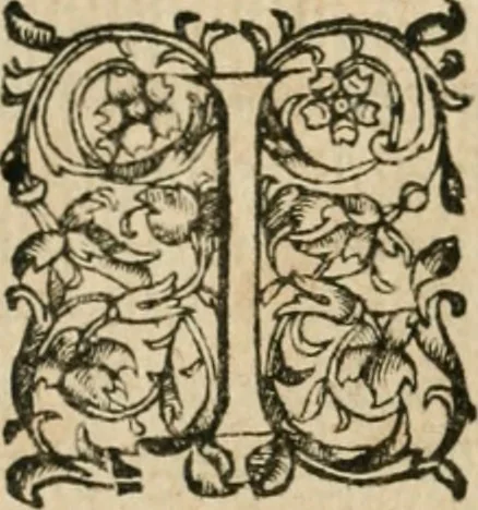 An illustration from Somme rural, ou, Le grand coustumier general de practique civil et canon, 1611, leaf 411