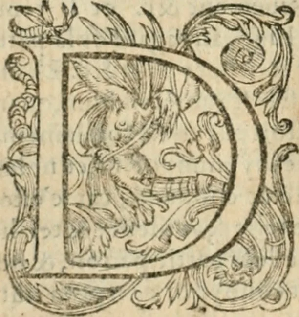 An illustration from Somme rural, ou, Le grand coustumier general de practique civil et canon, 1611, leaf 415