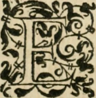 An illustration from Somme rural, ou, Le grand coustumier general de practique civil et canon, 1611, leaf 417