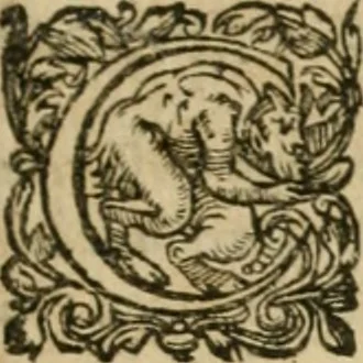 An illustration from Somme rural, ou, Le grand coustumier general de practique civil et canon, 1611, leaf 420