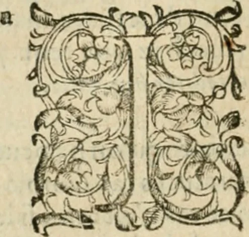 An illustration from Somme rural, ou, Le grand coustumier general de practique civil et canon, 1611, leaf 429