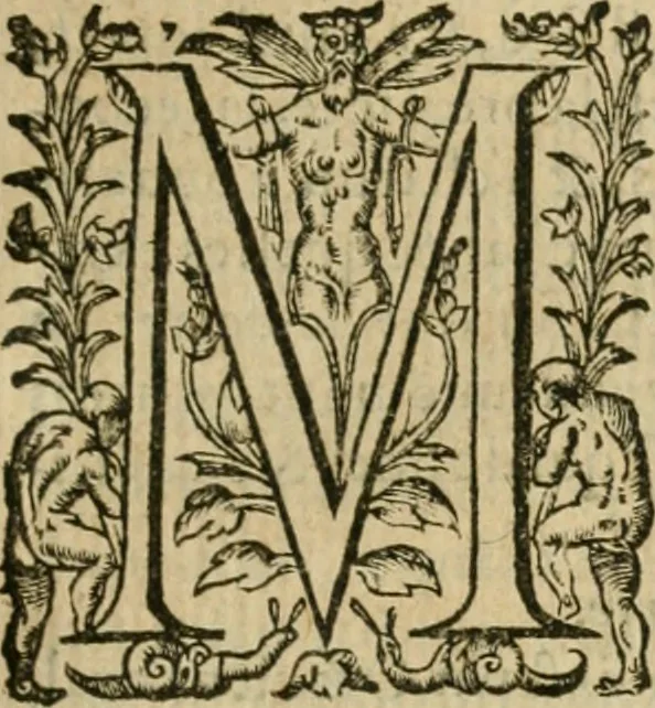 An illustration from Somme rural, ou, Le grand coustumier general de practique civil et canon, 1611, leaf 452