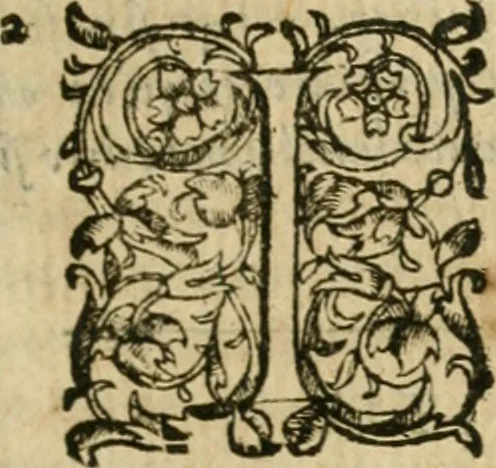 An illustration from Somme rural, ou, Le grand coustumier general de practique civil et canon, 1611, leaf 456