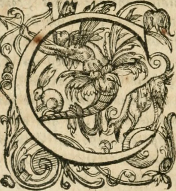An illustration from Somme rural, ou, Le grand coustumier general de practique civil et canon, 1611, leaf 457