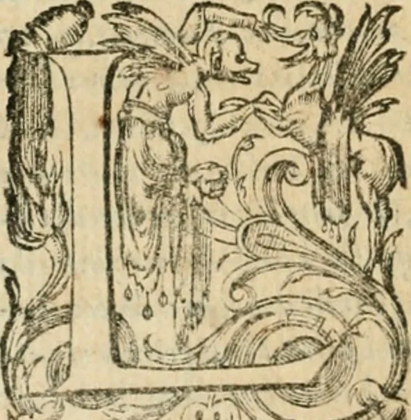 An illustration from Somme rural, ou, Le grand coustumier general de practique civil et canon, 1611, leaf 461