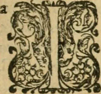 An illustration from Somme rural, ou, Le grand coustumier general de practique civil et canon, 1611, leaf 466