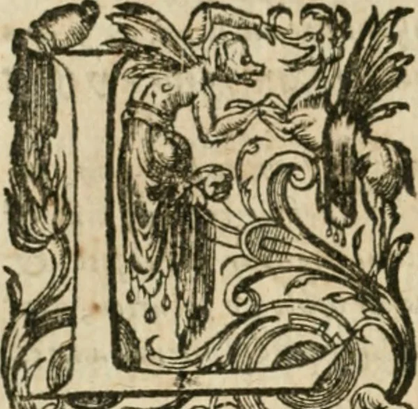 An illustration from Somme rural, ou, Le grand coustumier general de practique civil et canon, 1611, leaf 507