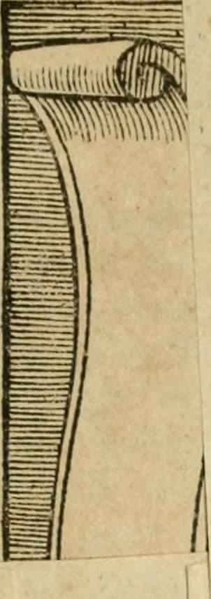 An illustration from Somme rural, ou, Le grand coustumier general de practique civil et canon, 1611, leaf 508