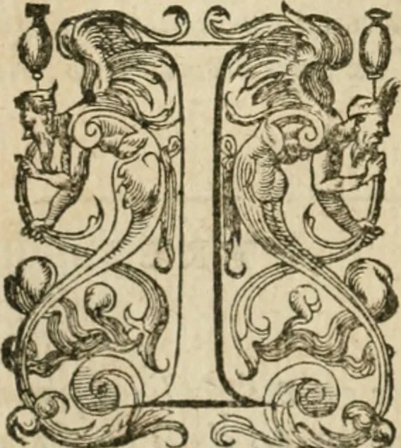 An illustration from Somme rural, ou, Le grand coustumier general de practique civil et canon, 1611, leaf 51