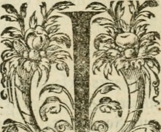 An illustration from Somme rural, ou, Le grand coustumier general de practique civil et canon, 1611, leaf 515