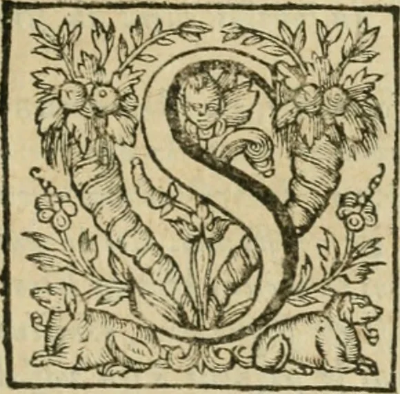 An illustration from Somme rural, ou, Le grand coustumier general de practique civil et canon, 1611, leaf 518
