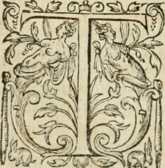 An illustration from Somme rural, ou, Le grand coustumier general de practique civil et canon, 1611, leaf 535