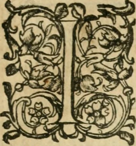 An illustration from Somme rural, ou, Le grand coustumier general de practique civil et canon, 1611, leaf 546