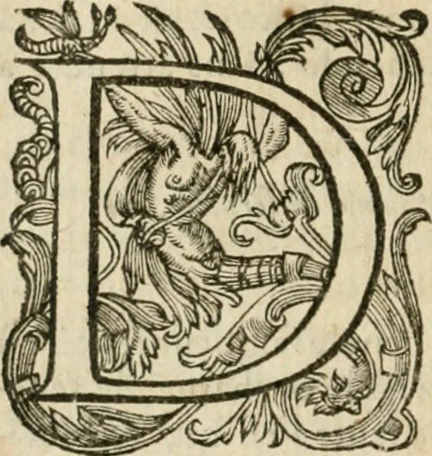 An illustration from Somme rural, ou, Le grand coustumier general de practique civil et canon, 1611, leaf 551