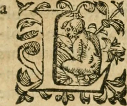 An illustration from Somme rural, ou, Le grand coustumier general de practique civil et canon, 1611, leaf 554