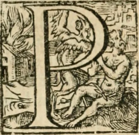 An illustration from Somme rural, ou, Le grand coustumier general de practique civil et canon, 1611, leaf 565