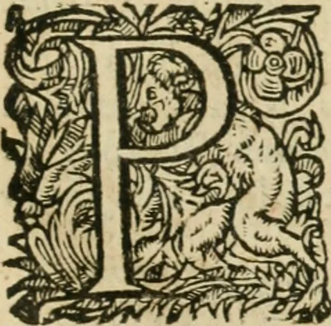 An illustration from Somme rural, ou, Le grand coustumier general de practique civil et canon, 1611, leaf 566