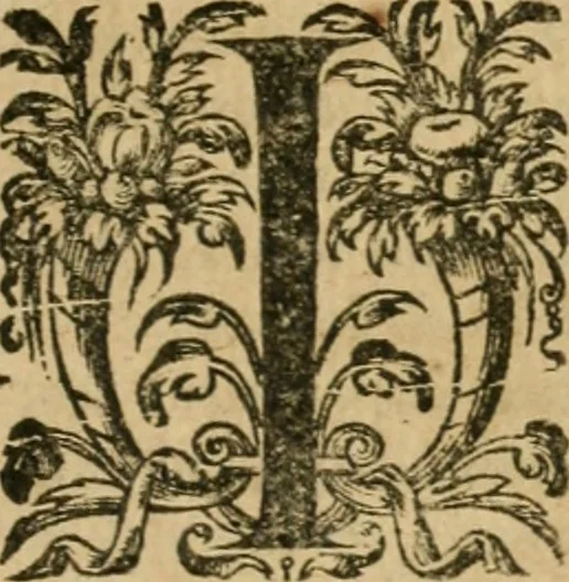 An illustration from Somme rural, ou, Le grand coustumier general de practique civil et canon, 1611, leaf 576