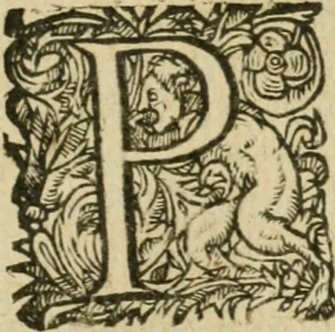An illustration from Somme rural, ou, Le grand coustumier general de practique civil et canon, 1611, leaf 586