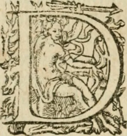 An illustration from Somme rural, ou, Le grand coustumier general de practique civil et canon, 1611, leaf 593