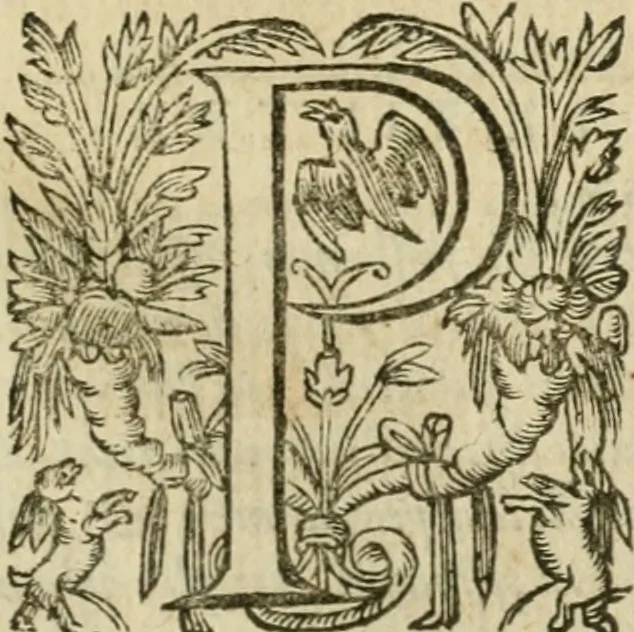 An illustration from Somme rural, ou, Le grand coustumier general de practique civil et canon, 1611, leaf 596