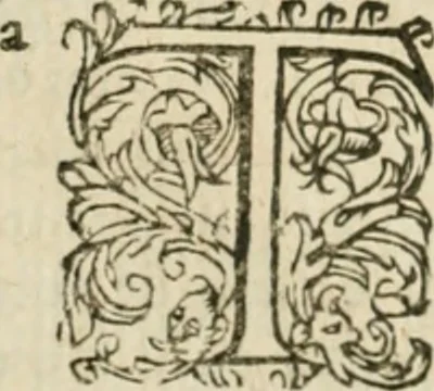 An illustration from Somme rural, ou, Le grand coustumier general de practique civil et canon, 1611, leaf 597