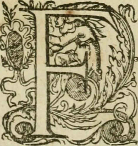 An illustration from Somme rural, ou, Le grand coustumier general de practique civil et canon, 1611, leaf 598