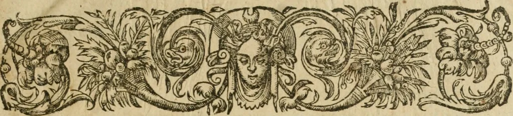 An illustration from Somme rural, ou, Le grand coustumier general de practique civil et canon, 1611, leaf 6