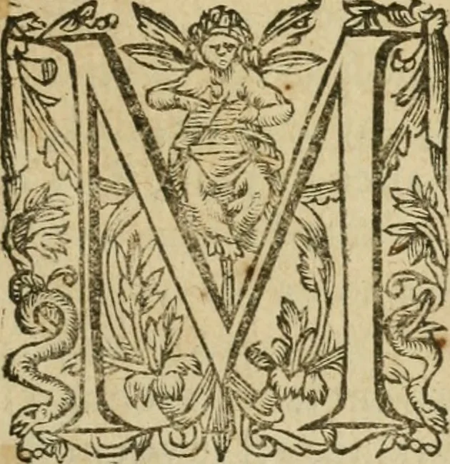 An illustration from Somme rural, ou, Le grand coustumier general de practique civil et canon, 1611, leaf 6