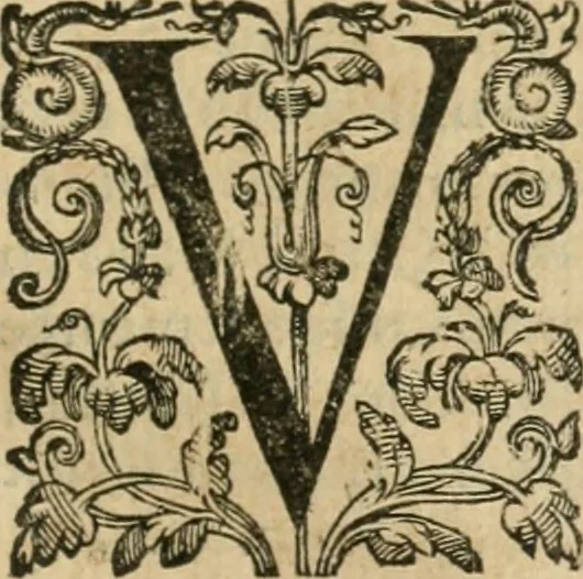 An illustration from Somme rural, ou, Le grand coustumier general de practique civil et canon, 1611, leaf 608