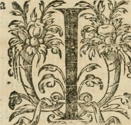 An illustration from Somme rural, ou, Le grand coustumier general de practique civil et canon, 1611, leaf 613