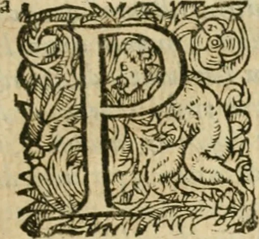 An illustration from Somme rural, ou, Le grand coustumier general de practique civil et canon, 1611, leaf 618