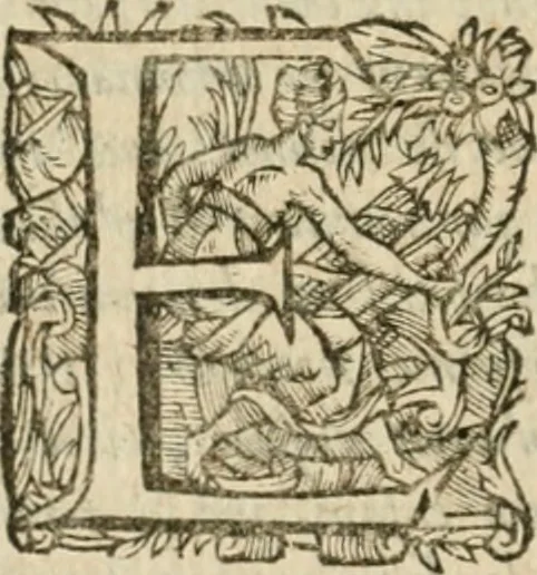An illustration from Somme rural, ou, Le grand coustumier general de practique civil et canon, 1611, leaf 619