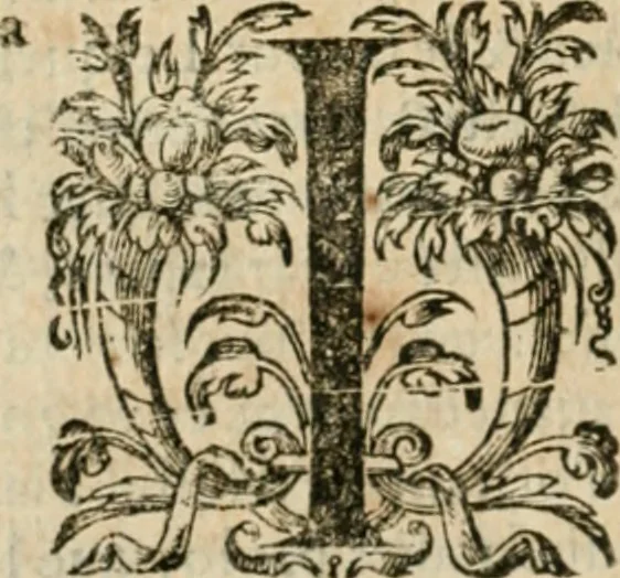 An illustration from Somme rural, ou, Le grand coustumier general de practique civil et canon, 1611, leaf 621