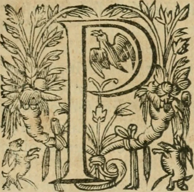 An illustration from Somme rural, ou, Le grand coustumier general de practique civil et canon, 1611, leaf 646