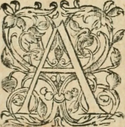 An illustration from Somme rural, ou, Le grand coustumier general de practique civil et canon, 1611, leaf 659