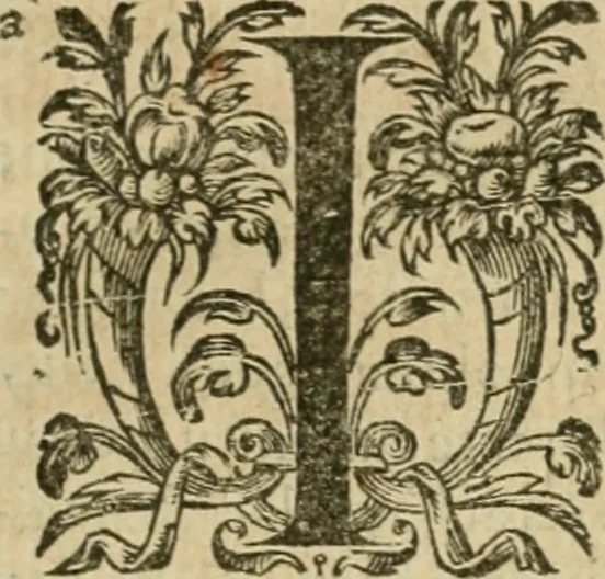 An illustration from Somme rural, ou, Le grand coustumier general de practique civil et canon, 1611, leaf 660