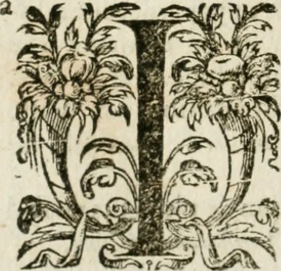 An illustration from Somme rural, ou, Le grand coustumier general de practique civil et canon, 1611, leaf 667