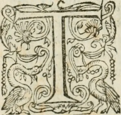 An illustration from Somme rural, ou, Le grand coustumier general de practique civil et canon, 1611, leaf 669
