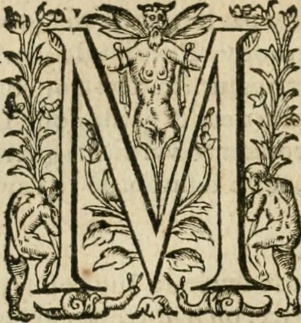 An illustration from Somme rural, ou, Le grand coustumier general de practique civil et canon, 1611, leaf 67
