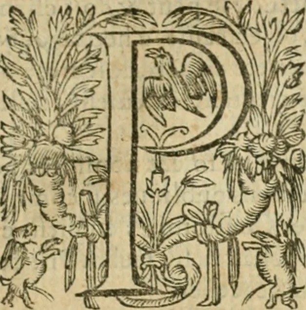 An illustration from Somme rural, ou, Le grand coustumier general de practique civil et canon, 1611, leaf 684
