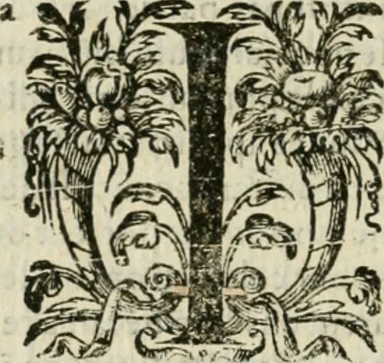 An illustration from Somme rural, ou, Le grand coustumier general de practique civil et canon, 1611, leaf 691