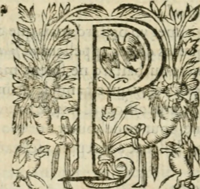 An illustration from Somme rural, ou, Le grand coustumier general de practique civil et canon, 1611, leaf 707