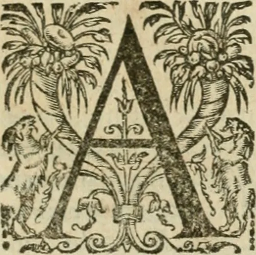 An illustration from Somme rural, ou, Le grand coustumier general de practique civil et canon, 1611, leaf 742