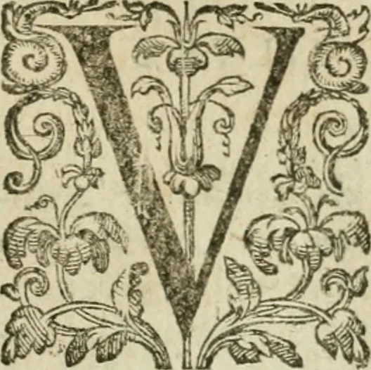 An illustration from Somme rural, ou, Le grand coustumier general de practique civil et canon, 1611, leaf 750